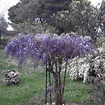 Il Mulinetto *