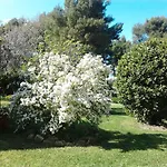 Il Mulinetto *