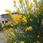 Il Mulinetto Apartment *