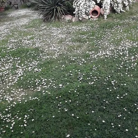 Il Mulinetto Apartament *