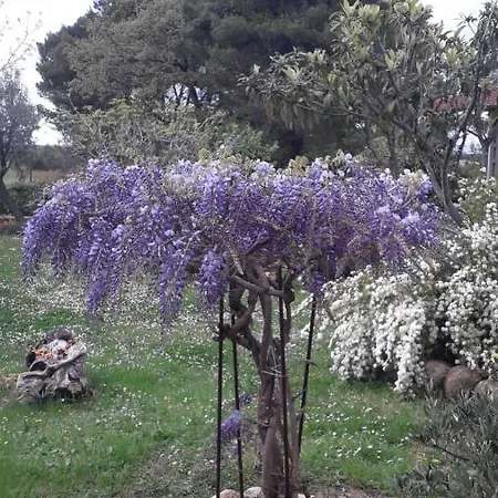 Il Mulinetto *