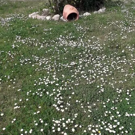 Il Mulinetto Apartament